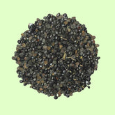 Cassia Absus Chasku Seeds